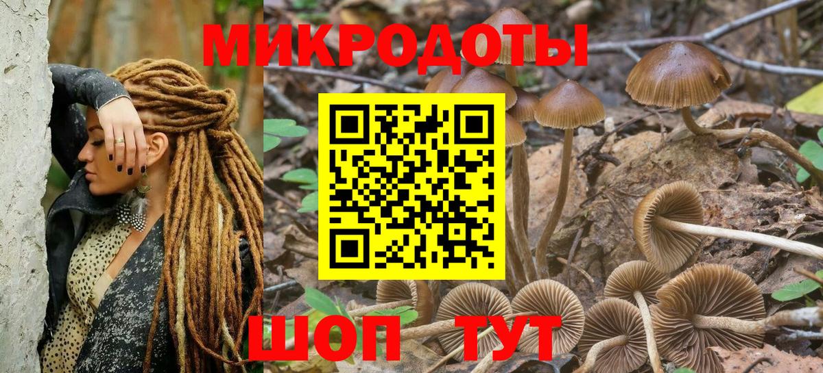 Галлюциногенные грибы прущие грибы  Вход с VPN  Владикавказ 