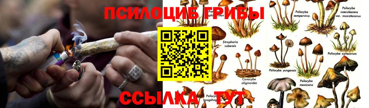 Псилоцибиновые грибы MAGIC MUSHROOMS Владикавказ